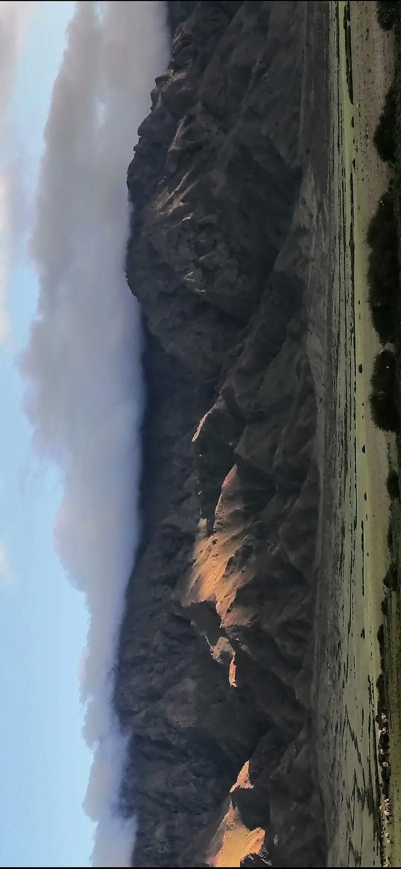 新疆维吾尔自治区塔城地区和布克赛尔蒙古自治县2月20日新增本土确诊14例的简单介绍