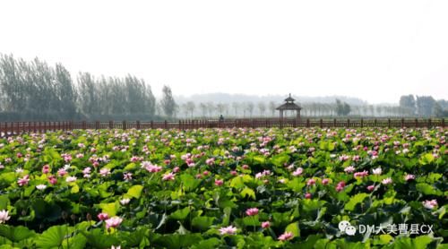 【山东菏泽曹县近期新增破11,菏泽曹县病情】