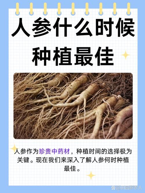 人参娘二区吧-人参娘二区吧教程小助手!V.86.33.60.17