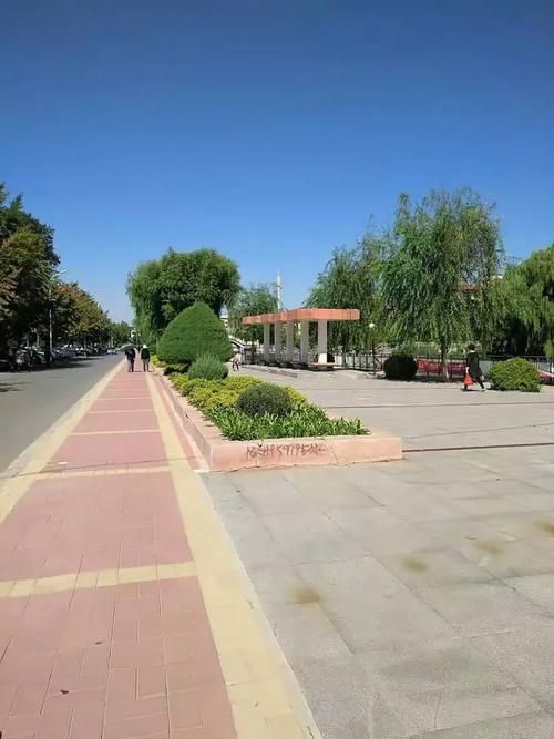 专家:宏伟区每年或现多个感染高峰_宏伟区是哪个城市
