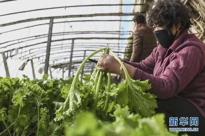 【乌鲁木齐县近期本土确诊疫情数据_乌鲁木齐县疫情最新消息】