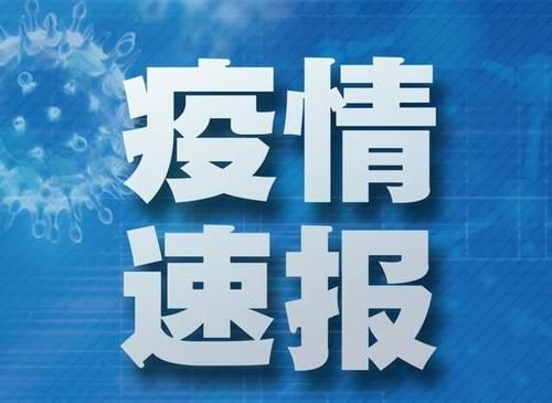 9地新增境外输入10例平果市25例/平果市29日有新冠疫苗吗