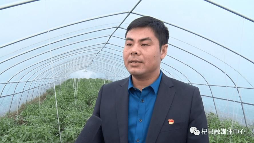 河南开封杞县疫情静默最新消息(河南开封杞县疫情3例)