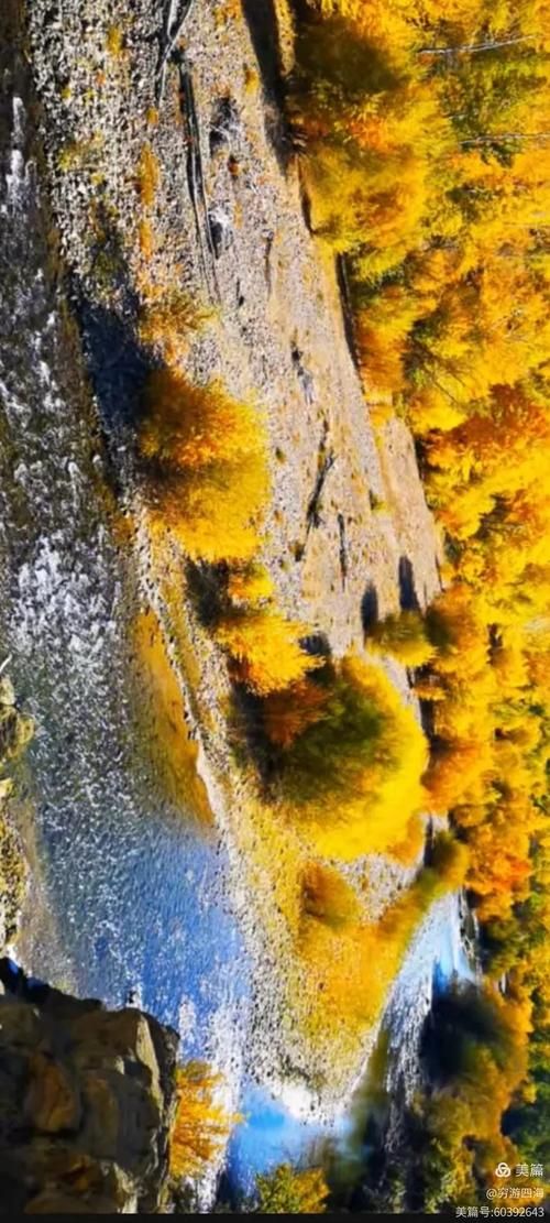 新疆维吾尔自治区塔城地区托里县近期新增感染趋势爆发/新疆托里旅游景点