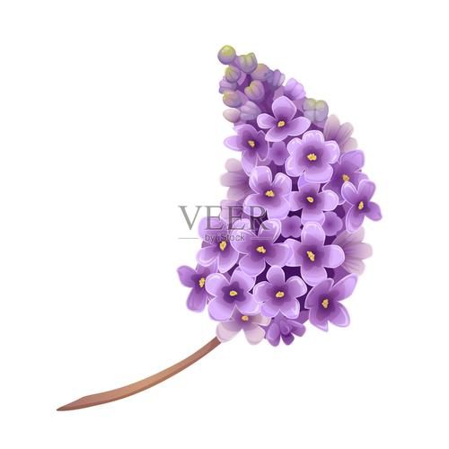 丁香花免费高清视频完整版动漫:教程小助手!丁香花免费高清视频完整版动漫