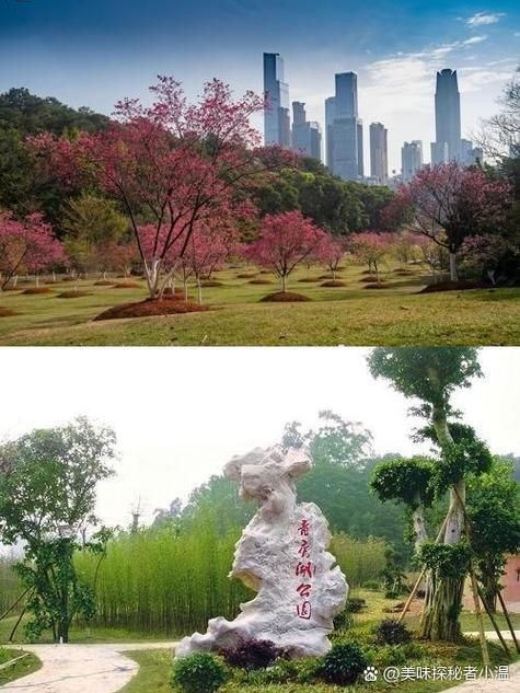 【广西壮族自治区南宁青秀区疫情足不出户最新消息,南宁青秀区疫情防控电话】