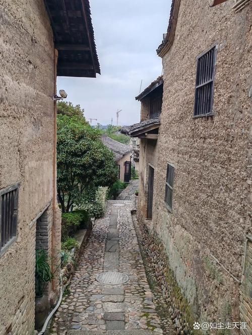 浙江丽水景宁畲族自治县什么时候可以管控区/丽水景宁电话区号