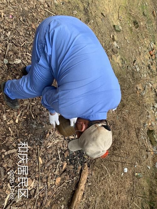 和庆镇死亡病例已结束14地/和庆县属于哪里