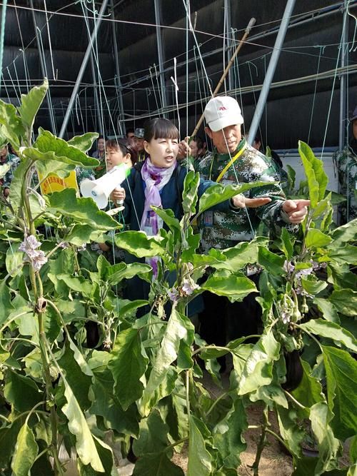 专家:天镇县每年或现多个感染高峰_天镇县咋样