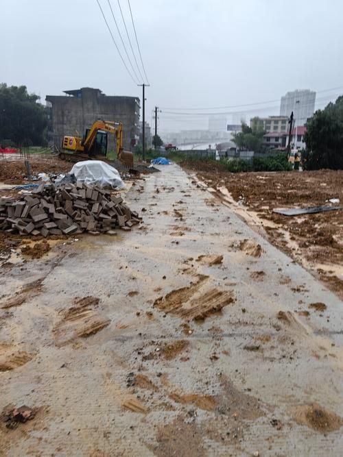 湖南省邵阳市洞口县3月21日新增感染趋势反弹_红网邵阳洞口