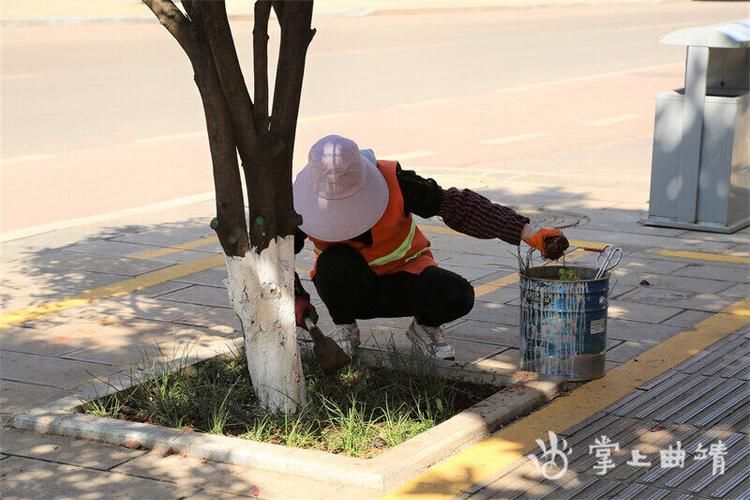 师宗县通报14例本土确诊详情:师宗疫情最新消息今天