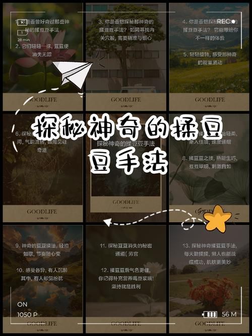 anzhuoshichang - anzhuoshichang详细分享装助手步骤教程V.19.79.54.81