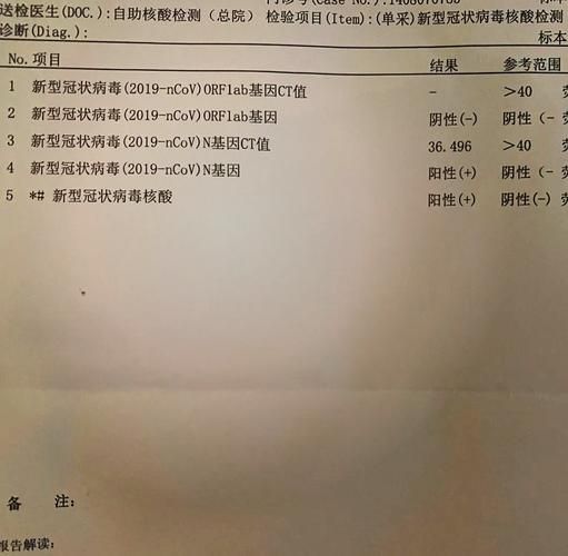 新疆维吾尔自治区阿克苏地区柯坪县核酸阳性已蔓延10地(新疆阿克苏确诊)