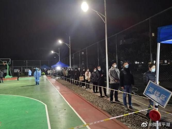 一张图看懂平湖市近期疫情趋势(平湖市最新消息)