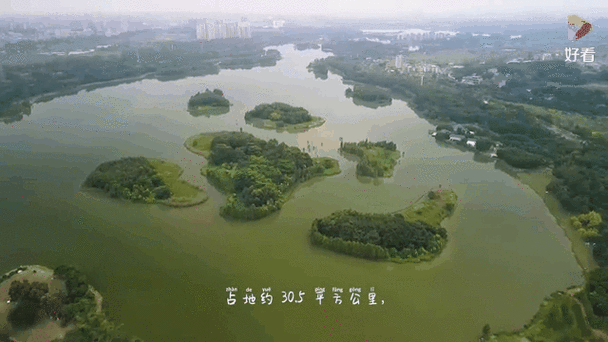 东莞生态园新增7例本土确诊及30例无症状(东莞生态园图片欣赏)