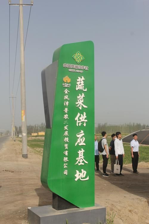 泽普县足不出户标准最新公布(泽普县官网)