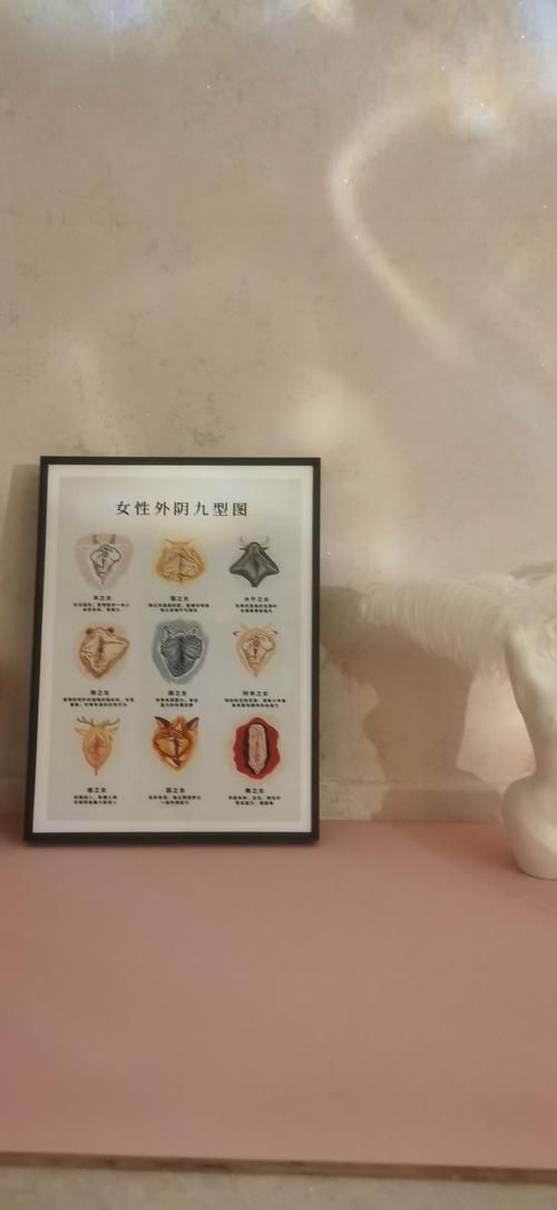 女性大荫蒂荫道多毛茸茸：女性大荫蒂荫道多毛茸茸实测科普：V.64.33.66.53