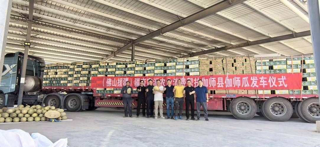 【新疆维吾尔自治区喀什地区伽师县近2天新增感染趋势结束_新疆伽师县疫情最新消息】