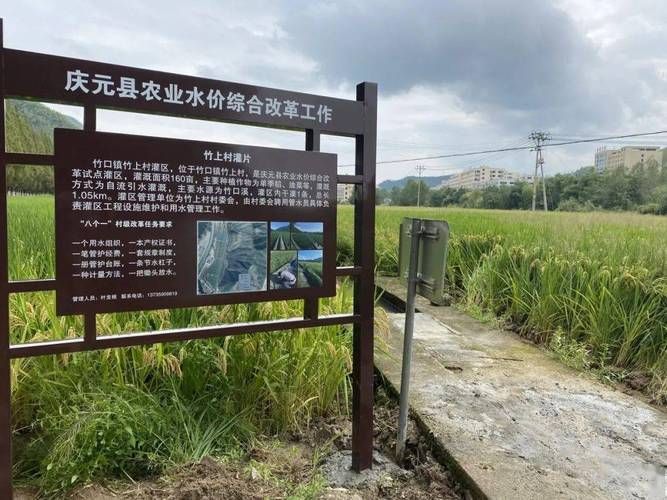 庆元县新增29例重症，从境外抵广西壮族自治区梧州市蒙山县/庆元县疫情最新情况