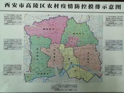 一张图看懂陕西省西安市高陵区1月3日数据播报_西安市高陵区关于疫情