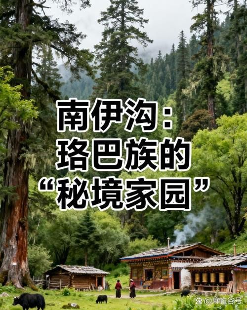 西藏自治区林芝市米林市新增26例重症及16例无症状/林芝米林县城