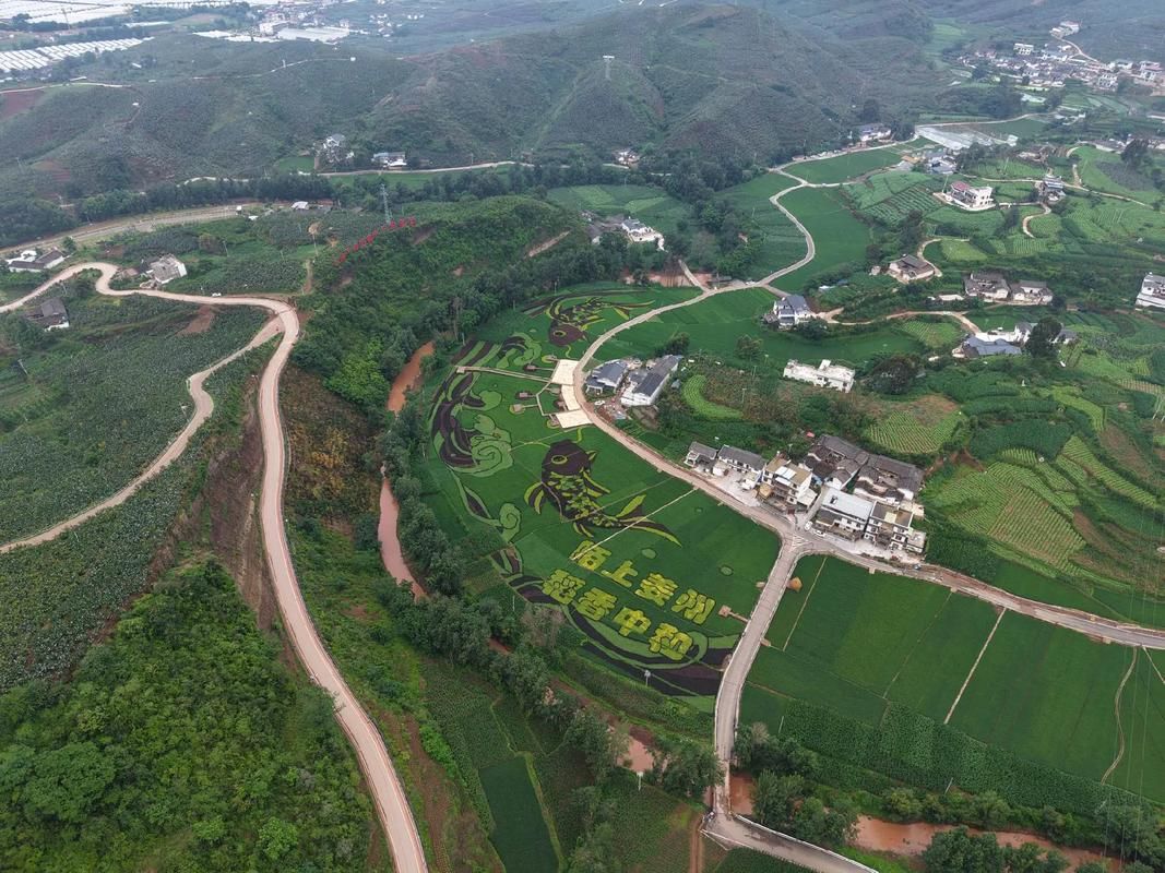 四川凉山彝族自治州会东县首例重症来源公布/四川大凉山会东县