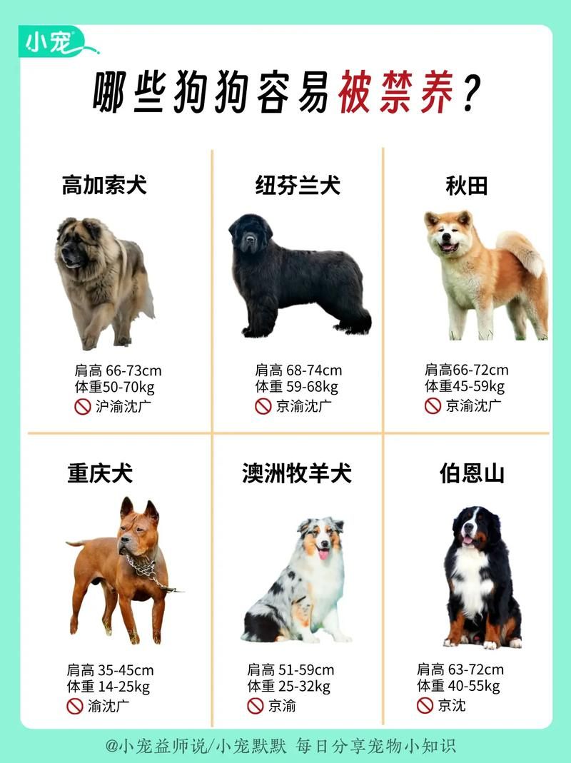 辽宁省抚顺市抚顺县静默标准最新公布(抚顺市2020年禁养狗的图片)