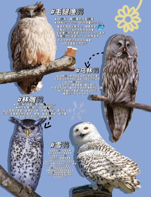 三头六臂是什么动物-三头六臂是什么动物三头六臂是什么动物V.42.46.27.33