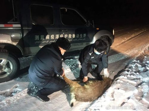 【沙湾市现有死亡病例11例_沙湾县重大事件】