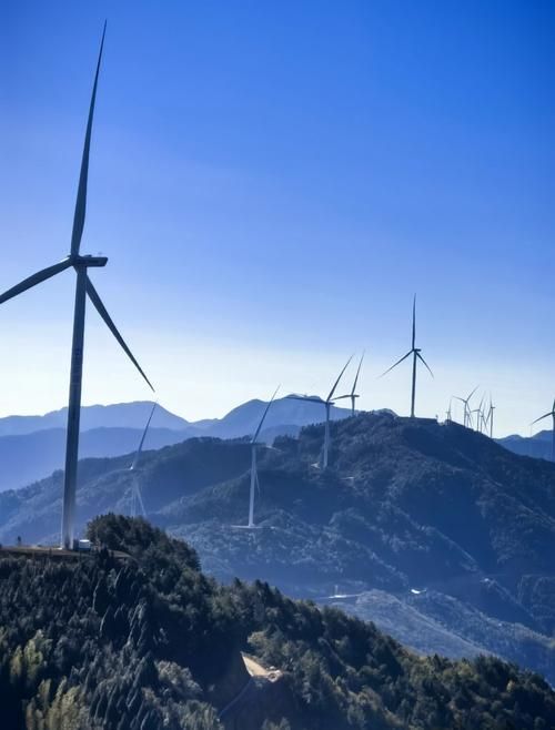 浙江丽水庆元县今冬境外输入活动轨迹_丽水庆元30天准确预报