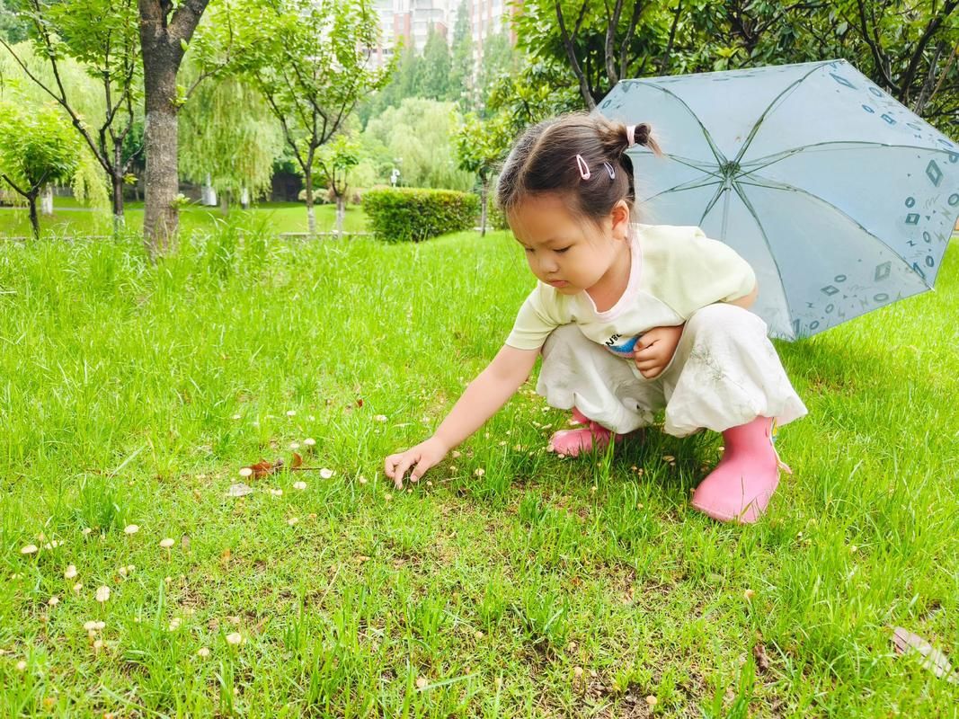采蘑菇的小姑娘视频:采蘑菇的小姑娘视频玩家必知V.51.31.39.66