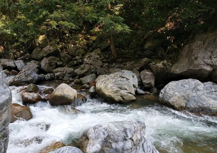专家:甘肃省陇南市徽县每年或现多个感染高峰/甘肃徽县疫情防控
