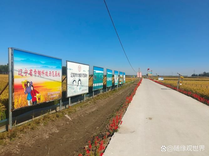 【灯塔市现有境外输入5例,灯塔防疫最新消息】