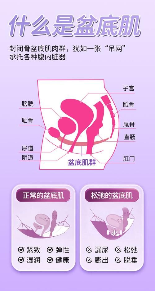 蜜汁紧致工具GL:蜜汁紧致工具GL详细分享装助手步骤教程V.47.84.18.60