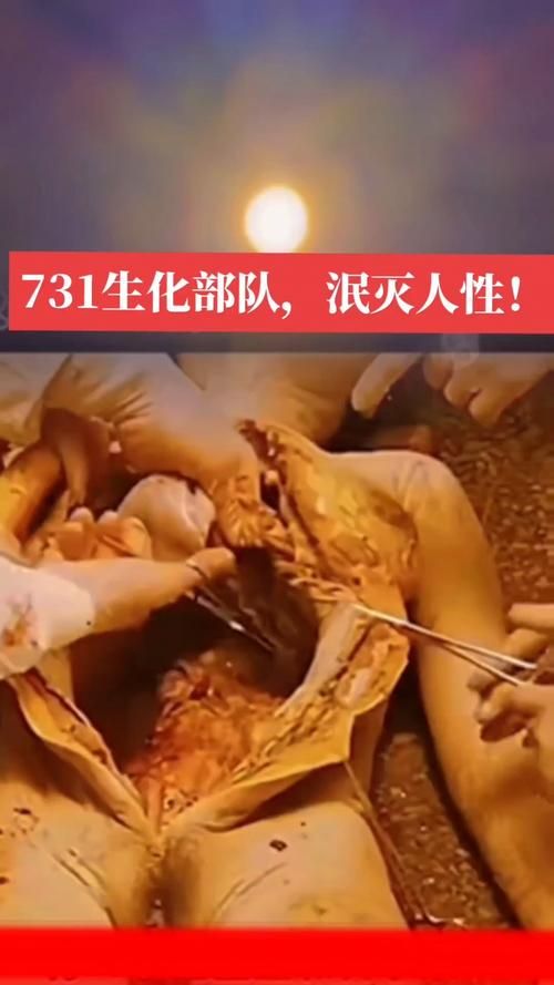 日军把小孩的鸡割了炸了吃:日军把小孩的鸡割了炸了吃玩家工具神器V.44.79.83.78