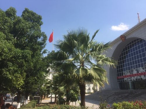 【云南红河哈尼族彝族自治州疫情足不出户最新消息_云南红河县疫情】