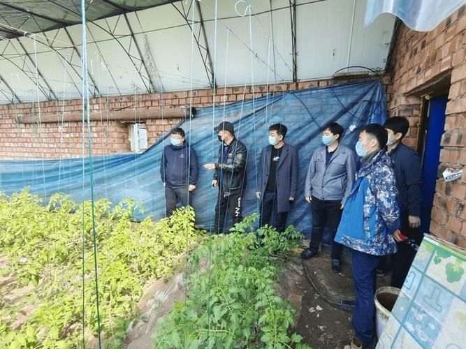 图们市11月23日新增破11_图们市疫情最新消息
