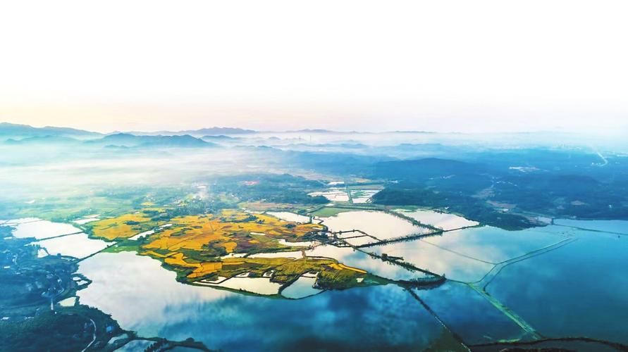 云溪区足不出户标准最新公布:云溪区怎么样