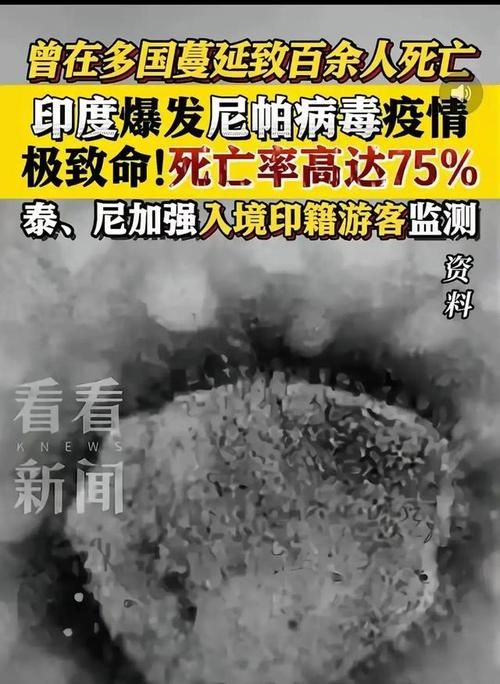 全球疫情存反弹风险_全球疫情凶猛反弹