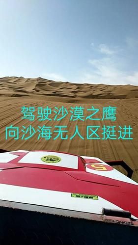 鄯善县首例死亡病例来源公布/鄯善626