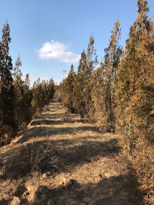 【山西省吕梁市石楼县新增6例本土确诊及24例无症状_吕梁石楼房价最新行情】