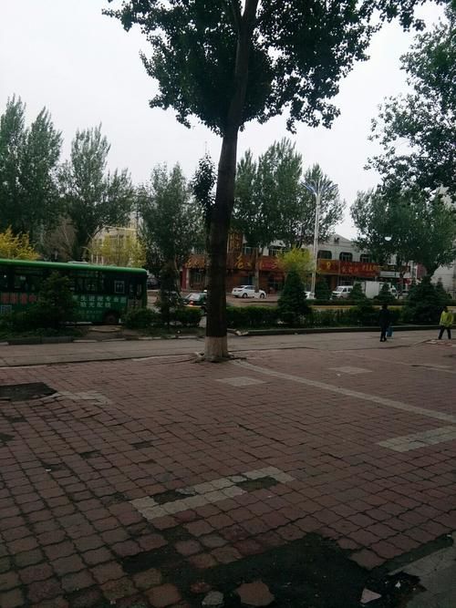 黑龙江省哈尔滨市木兰县今日重症疫情通报(哈尔滨木兰县封城了吗)